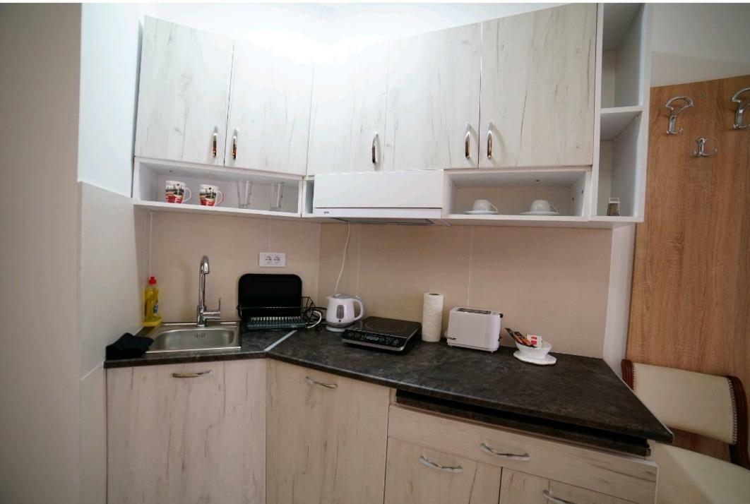 Apartmani Diksi Zrenjanin Extérieur photo