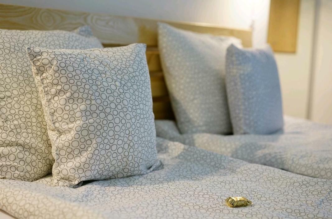 Apartmani Diksi Zrenjanin Extérieur photo